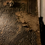 Thumbnail: Grimoire / Book of Shadows Mind Dungeon II 