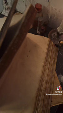 Thumbnail: Grimoire/ Book of Shadows  Zynth