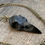 Thumbnail: Crow skull necklace Obsidian