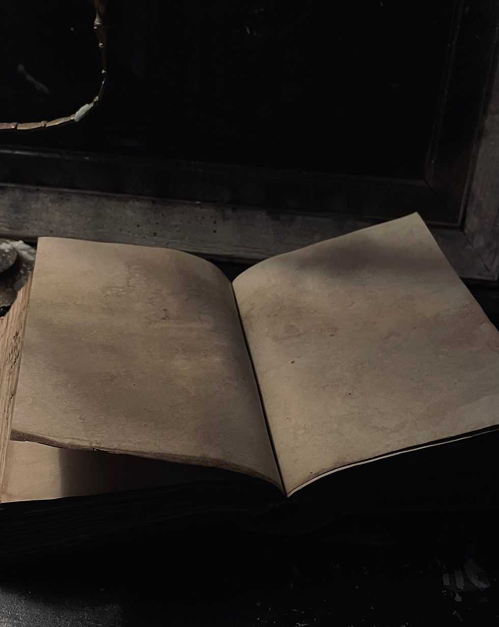 Thumbnail: Grimoire / Book of Shadows Gargoyle