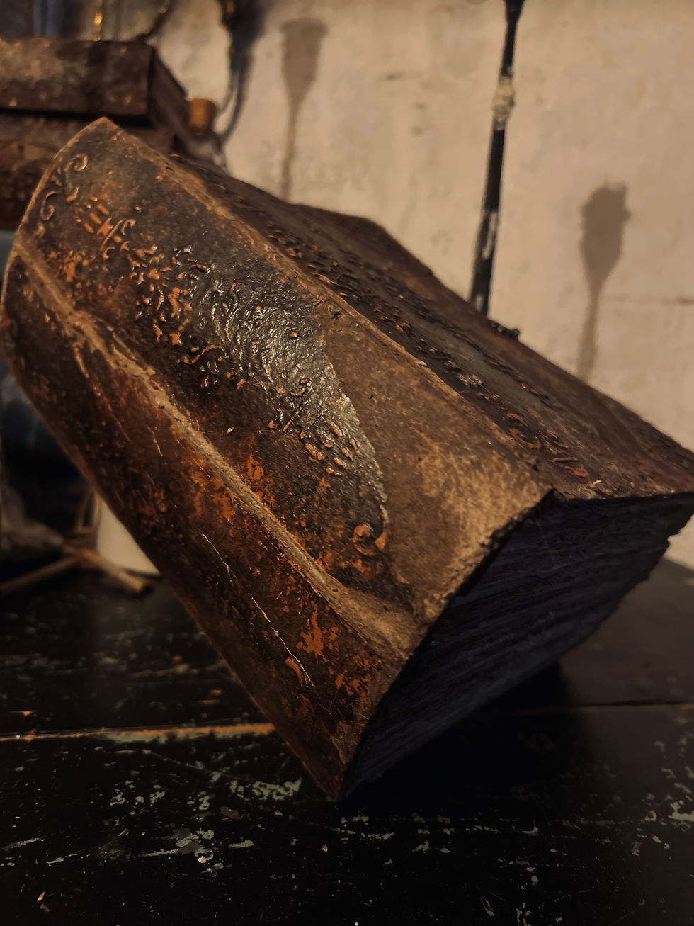 Thumbnail: Grimoire/ Book of Shadows Gavrilae