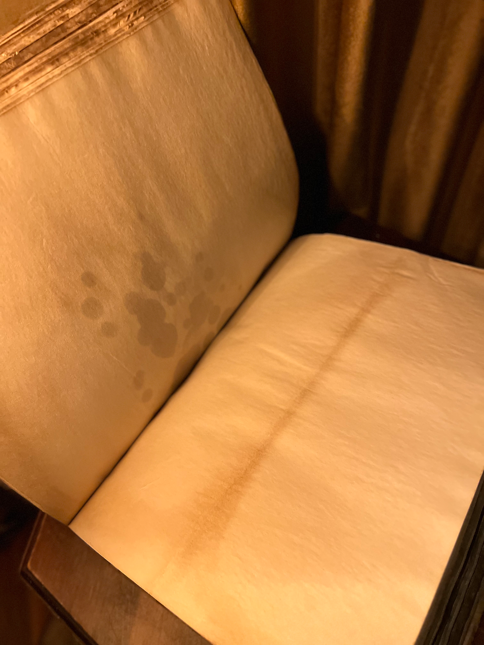 Thumbnail: Grimoire/ Book of Shadows Bernettae