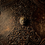 Thumbnail: Grimoire / Book of Shadows Magdon
