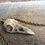 Thumbnail: Raven skull necklace Old gold