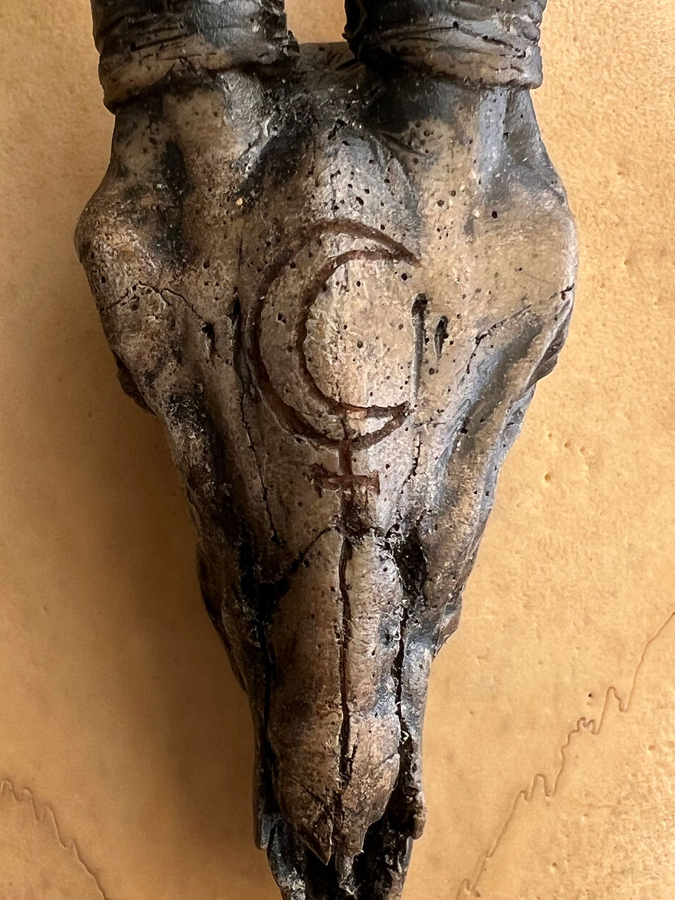 Thumbnail: Goat skull necklace Lilith