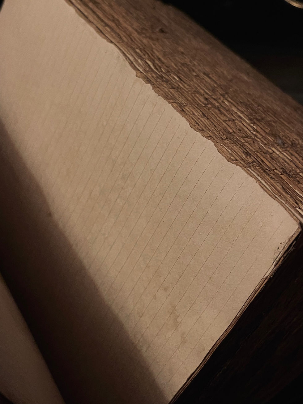 Thumbnail: Grimoire / Book of Spells Triquetra