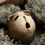 Thumbnail: grimmalkin cold porcelaine sculpture cat ghost