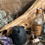 Thumbnail: grimmalkin cold porcelaine sculpture cat ghost