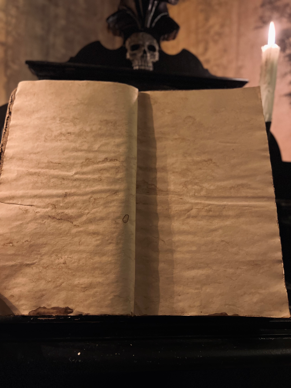 Thumbnail: Grimoire / Book of Shadows Lilith VII