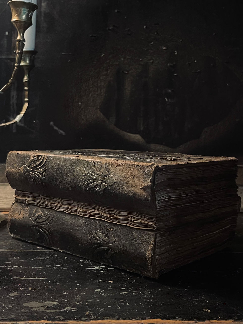 Thumbnail: Grimoire / Book of Shadows Lilith II