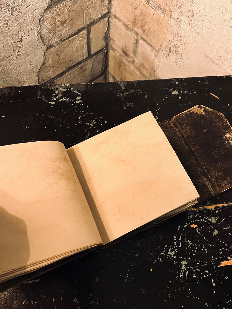 Thumbnail: Grimoire/ Book of Shadows Arcanum Ocultus III