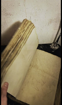 Thumbnail: Grimoire / Book of Shadows Creatures  of the Dark