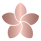 Sflower-rose(web).png
