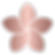 Sflower-rose(web).png