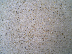 Travertino No.2 de 30x30