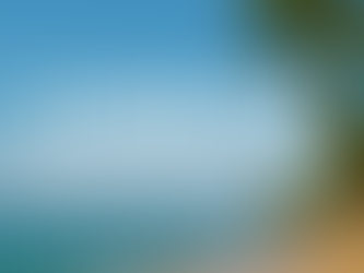 Pourquoi la Guadeloupe est une destination surf encore trop sous-cotée ?