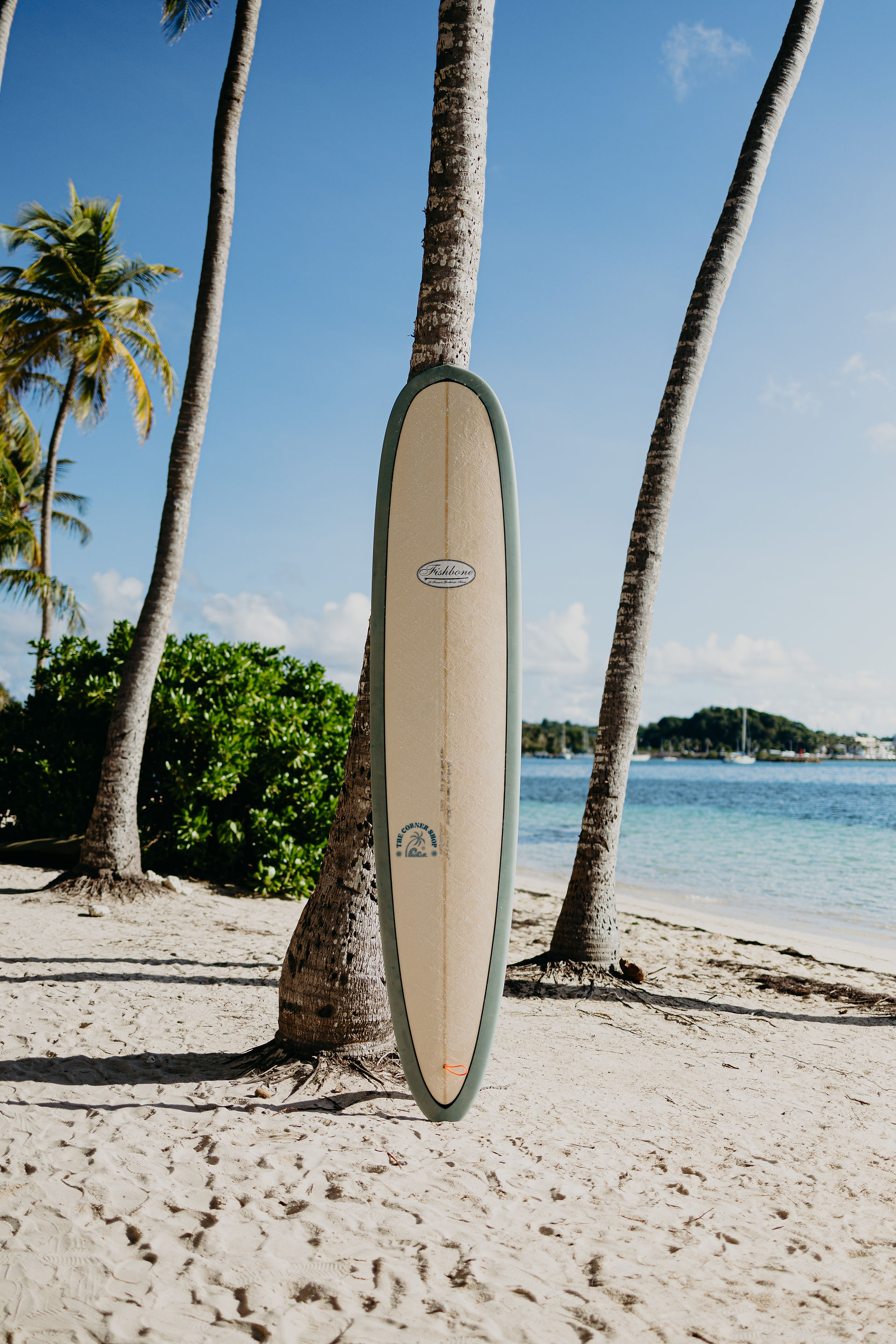 Location longboard noserider
