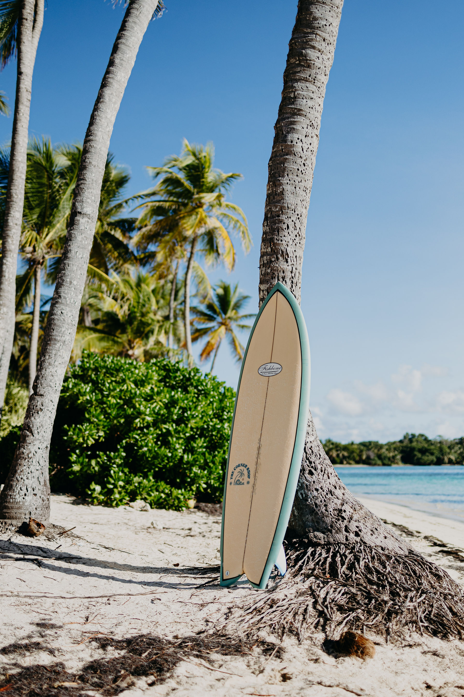 Twin fish location shortboard