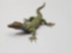 Lizard 16014