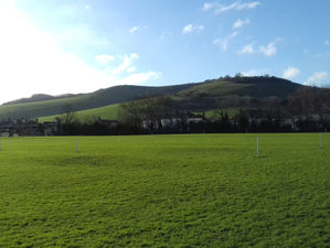 The Elvis in the dress