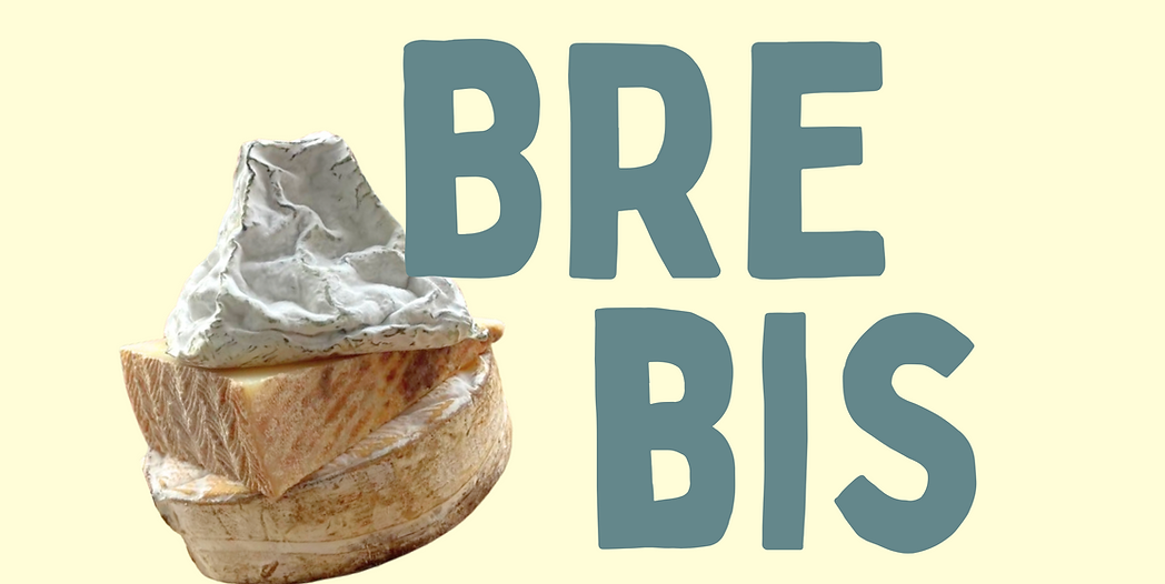 brebis footer logo