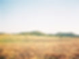 JenWojcikPhotography-87.jpg