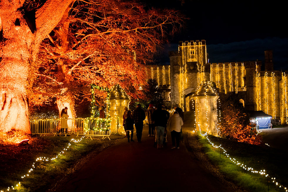 Thumbnail: Powderham Castle | Event Venue Hire | At night