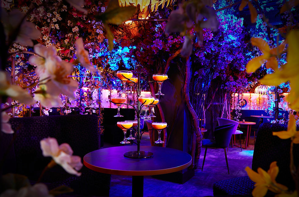 Le Fez | Match My Venue