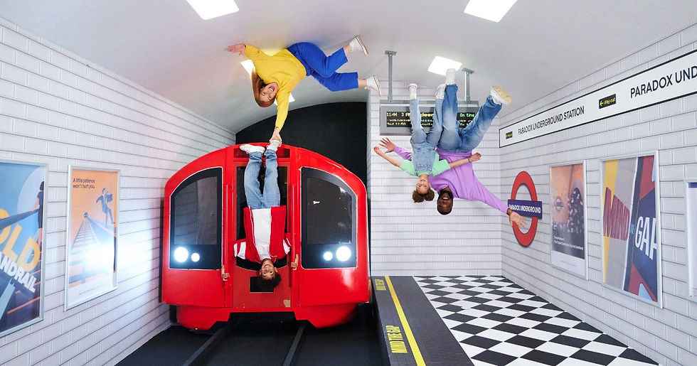 Paradox Museum | Match My Venue