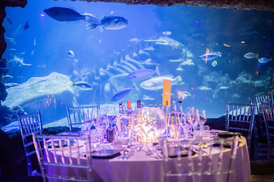 SEA LIFE London Aquarium | Unique Event Venues in Central London | Match My Venue