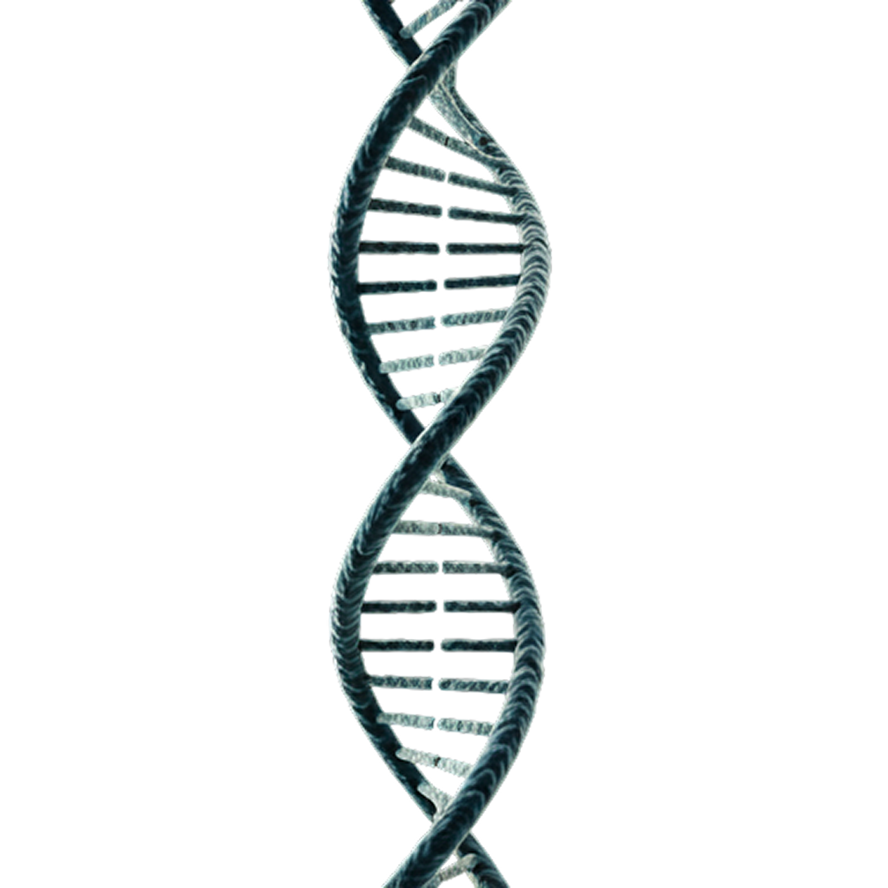 DNA.png