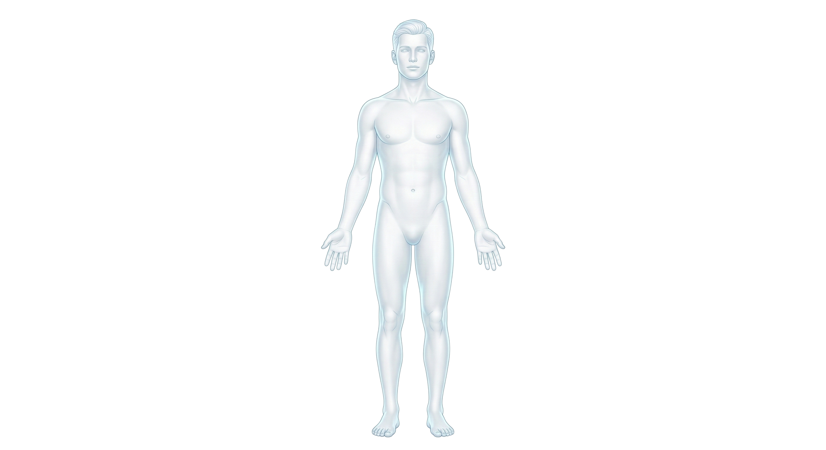 Uomo senza sfondo.png