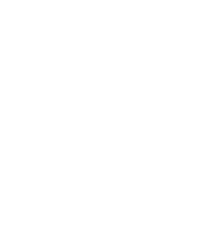 White_maple_leaf_symbol.png