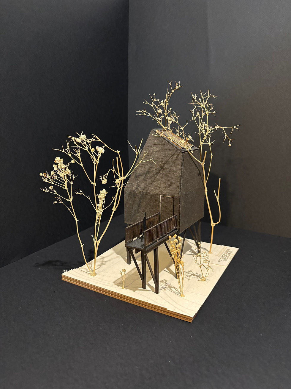 maquette au 1/50ème