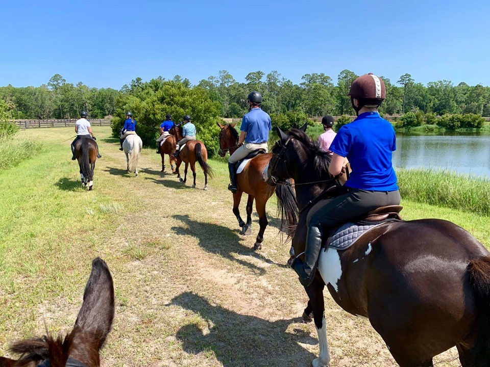 Palmetto Bluff roading
