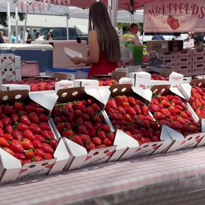  Strawberry Festival takes over Ponchatoula