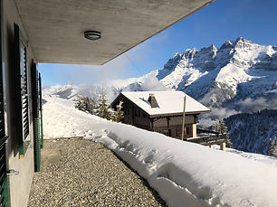 View from lower terrace.jpeg
