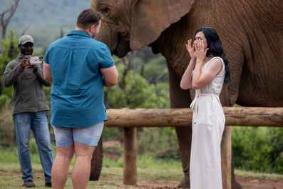 real proposal at African Hills Safari
