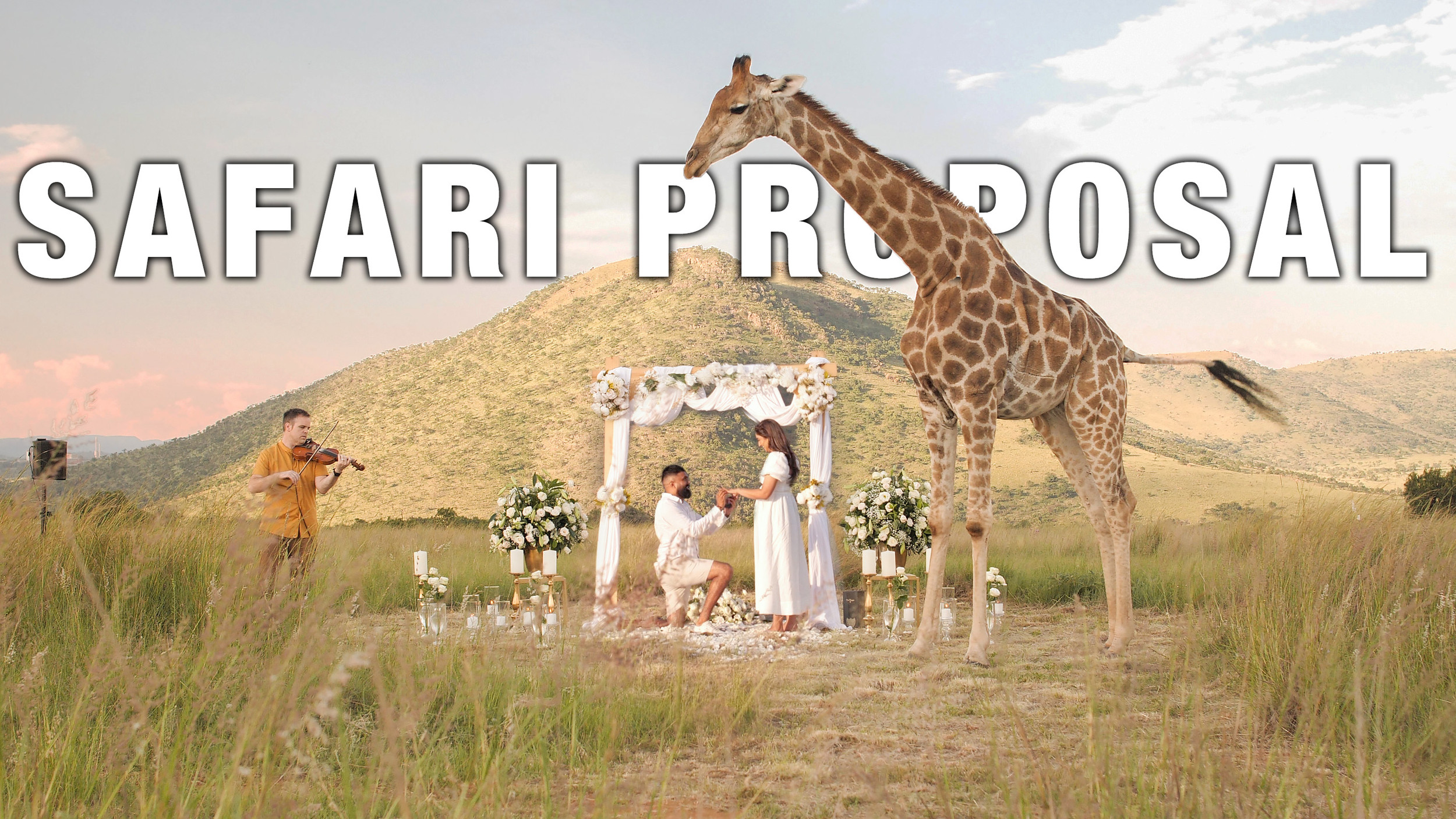 Experience The Ultimate Romance A Safari Proposal In The Heart Of experience-the-ultimate-romance-a-safari-proposal-in-the-heart-of
