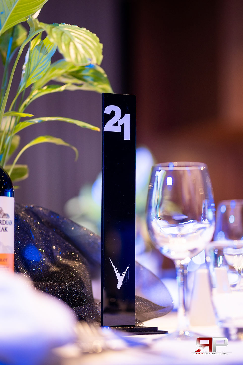 Professional event photographers Johannesburg