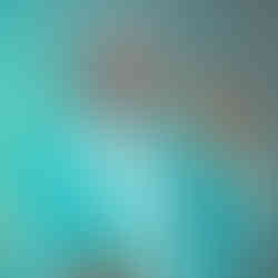 photographer for hire