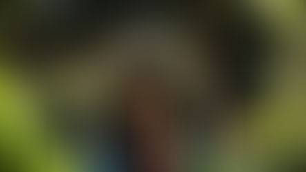 Michele and Rene's Matric Farewell Shoot