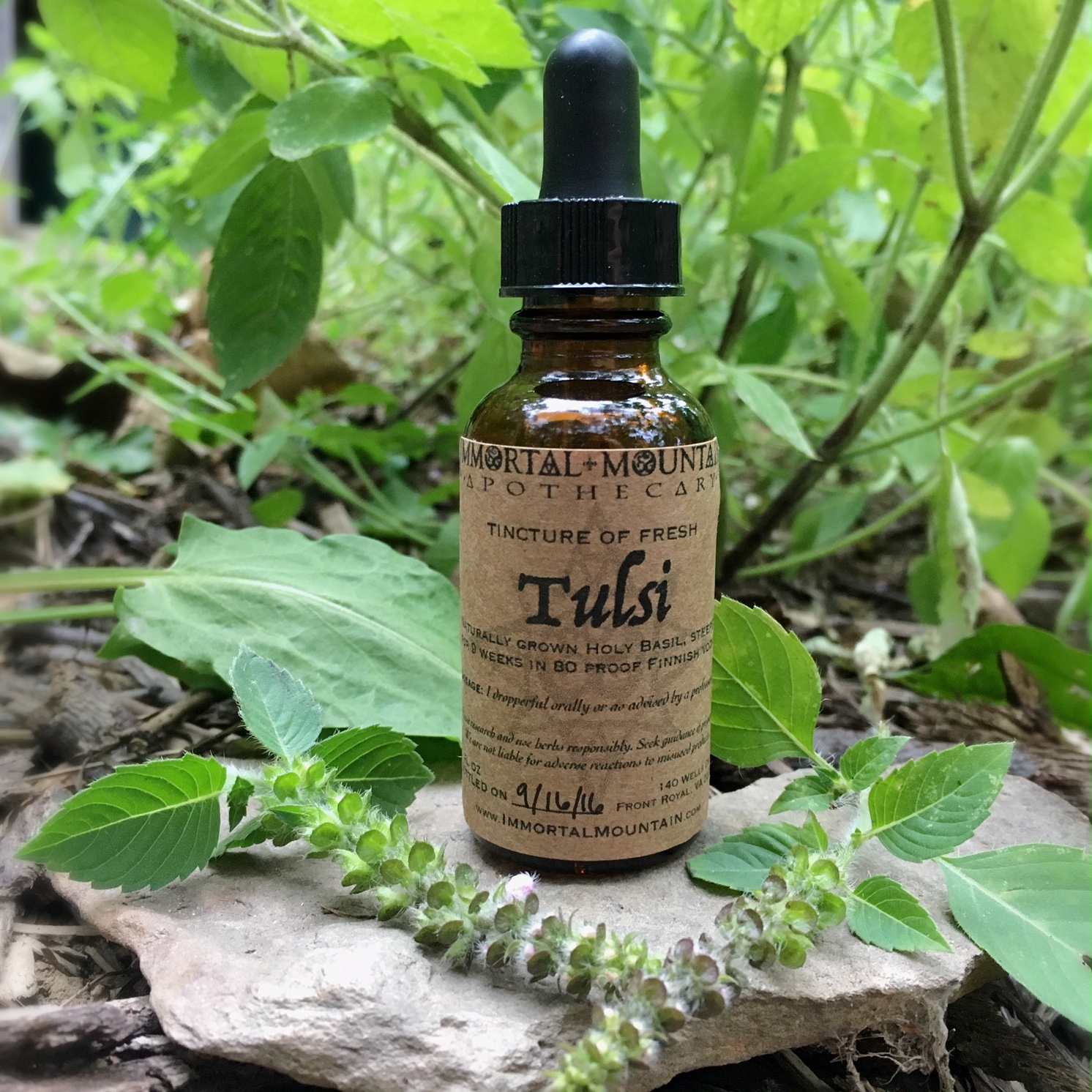 TULSI tincture