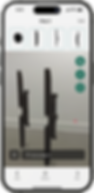 Voice command 2.png