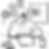 10259186_edited.png