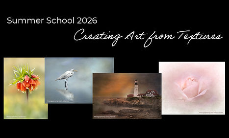 Summer School 2026.jpg