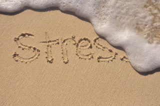 Are You the Ground Meat in Your Family’s Generational Sandwich? How to Reduce Your Stress.