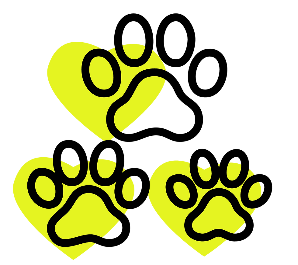 Icons-05.png