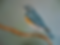 Hand Painted Blue Bird