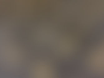 Stained Polish Concrete